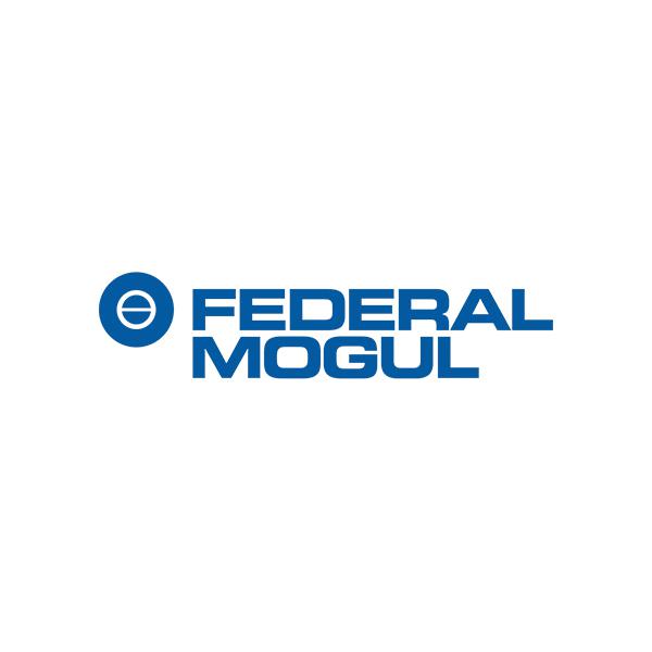 Federal Mogul